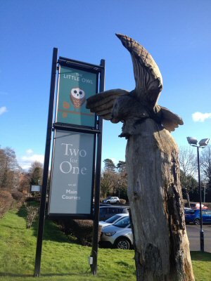 Chestertourist.com - Little Owl Page 4